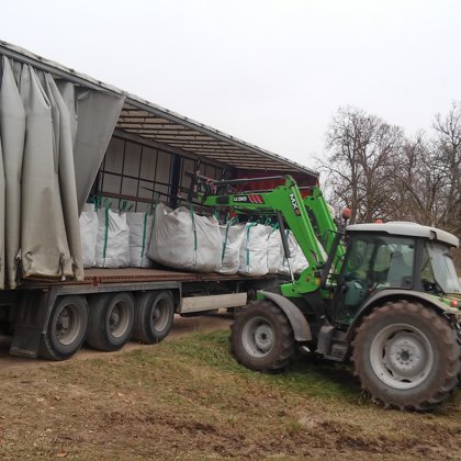 Upeņu stādu kraušana piegādei klientam