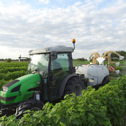 Upeņu mēslošana ar bioloģisko mēslojumu BARO