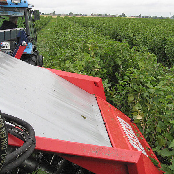 Berry harvester Jagoda Jarek - 6