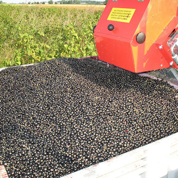 Berry harvester Jagoda Jarek - 7