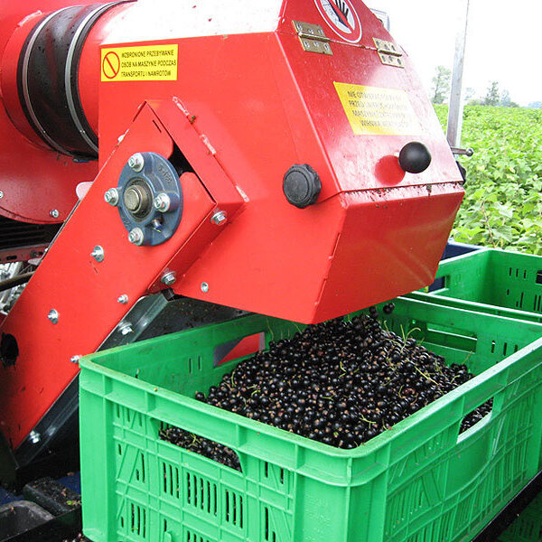Berry harvester Jagoda Jarek - 8