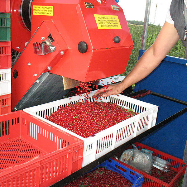 Berry harvester Jagoda Jarek - 9