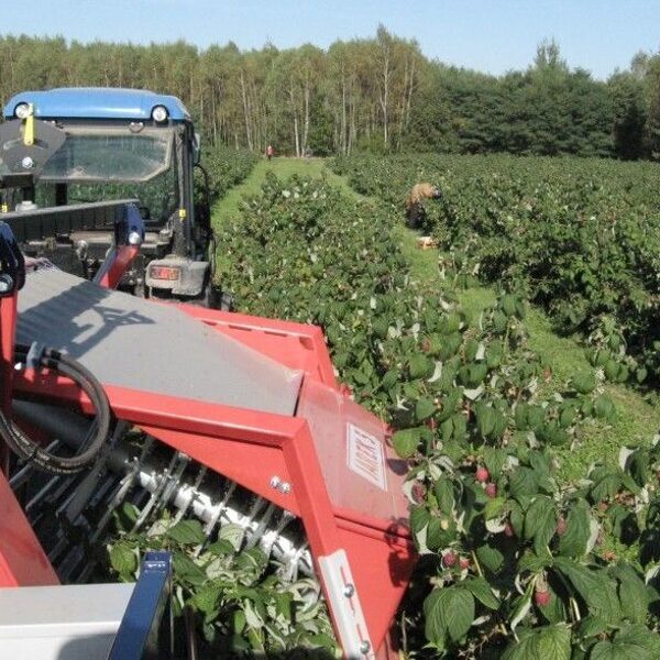 Raspberry harvester Jarek 5R - 1