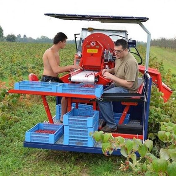 Raspberry harvester Jarek 5R - 3