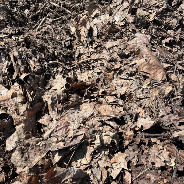 Composting 2