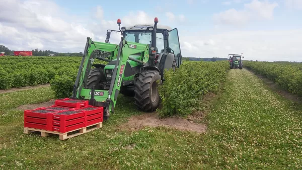 Upeņu transportēšana ārā no tīruma