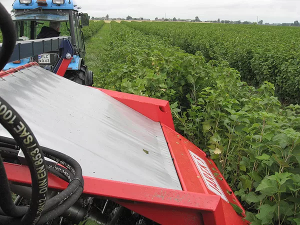 Berry harvester Jagoda Jarek - 6