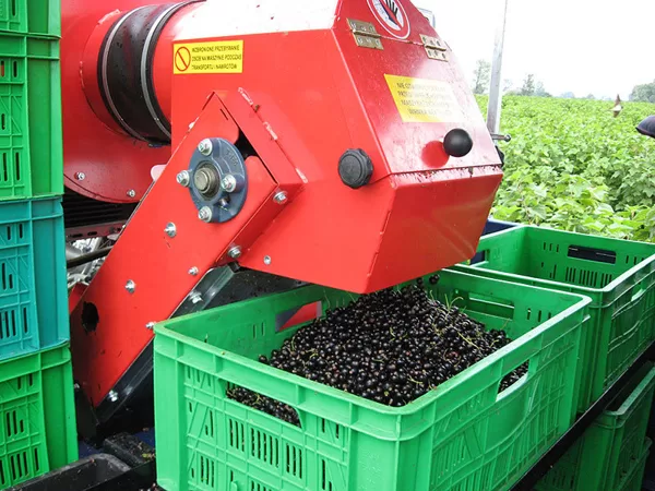 Berry harvester Jagoda Jarek - 8