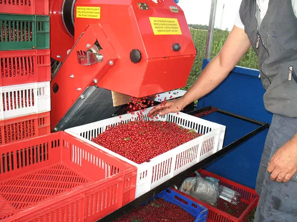Berry harvester Jagoda Jarek - 9