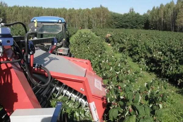 Raspberry harvester Jarek 5R - 1