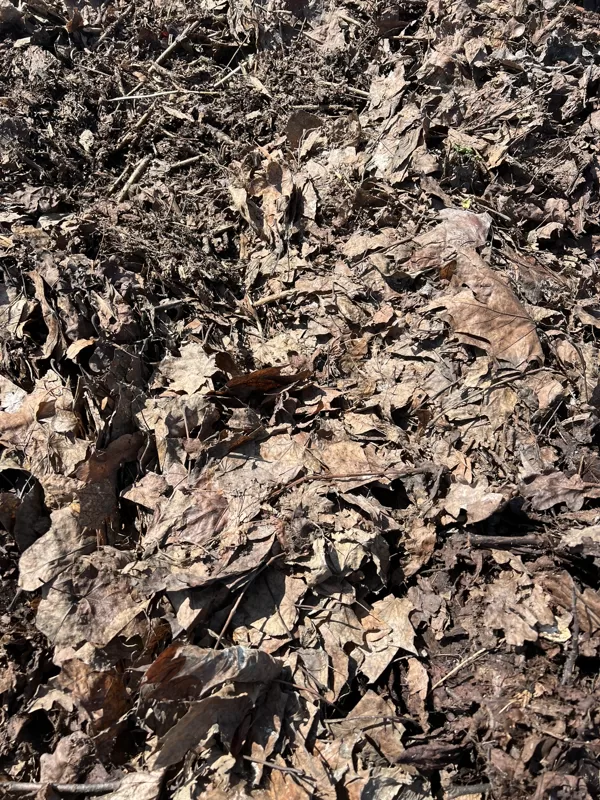 Composting 2