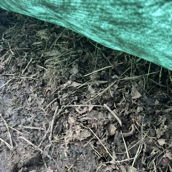 A view under the compost cover
