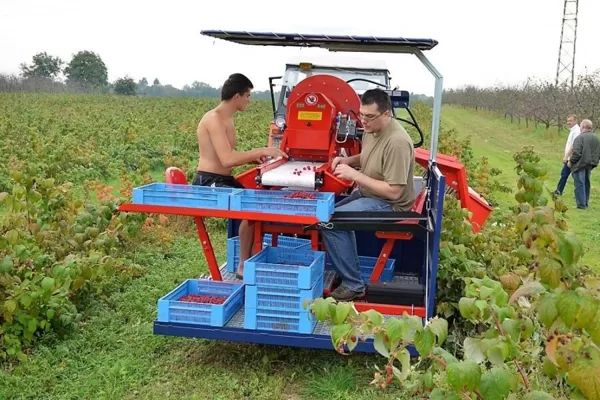 RASPBERRY JAREK 5R